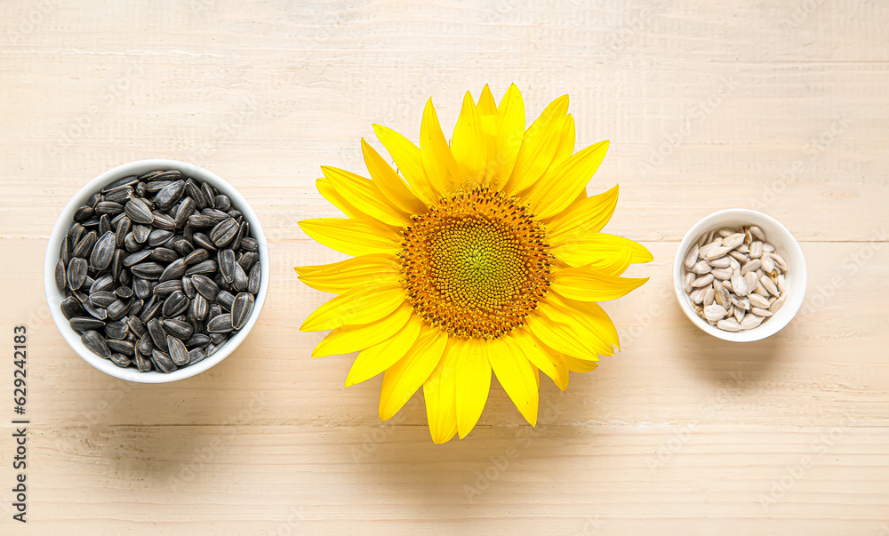 Beautiful sunflower and bowls with seeds on white wooden background