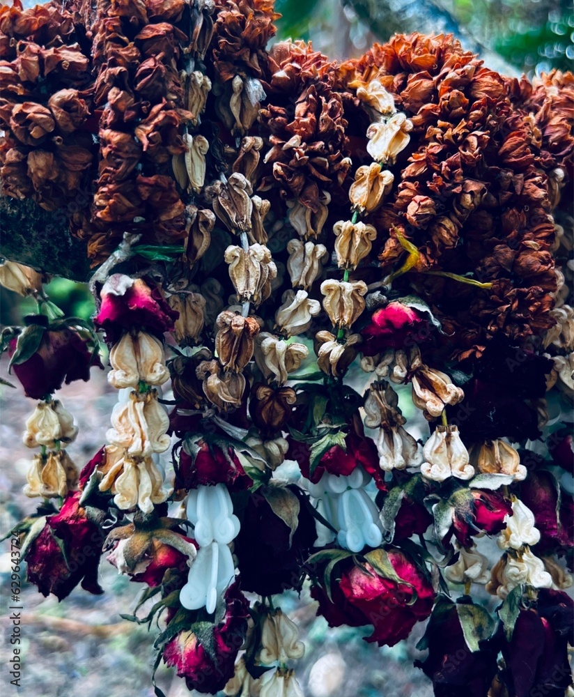 dried flowers on the market