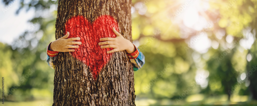 Child hugging an old tree in the natural park.