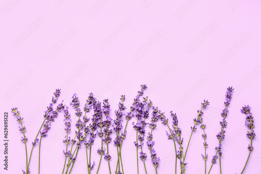 Branches of beautiful lavender flowers on light purple background