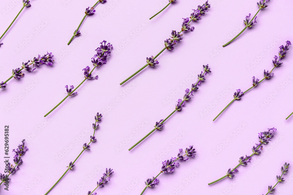 Branches of beautiful lavender flowers on purple background, closeup