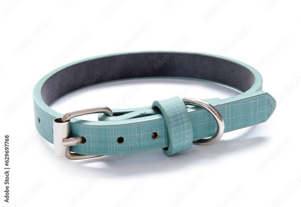 Leather pet collar on white background