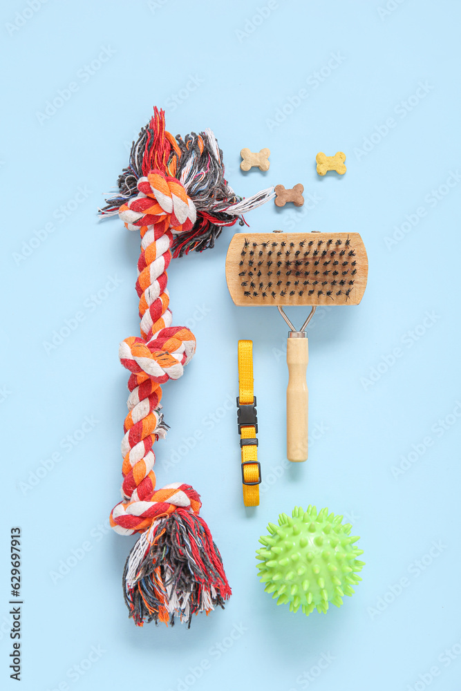 Composition with different pet care accessories and food on color background