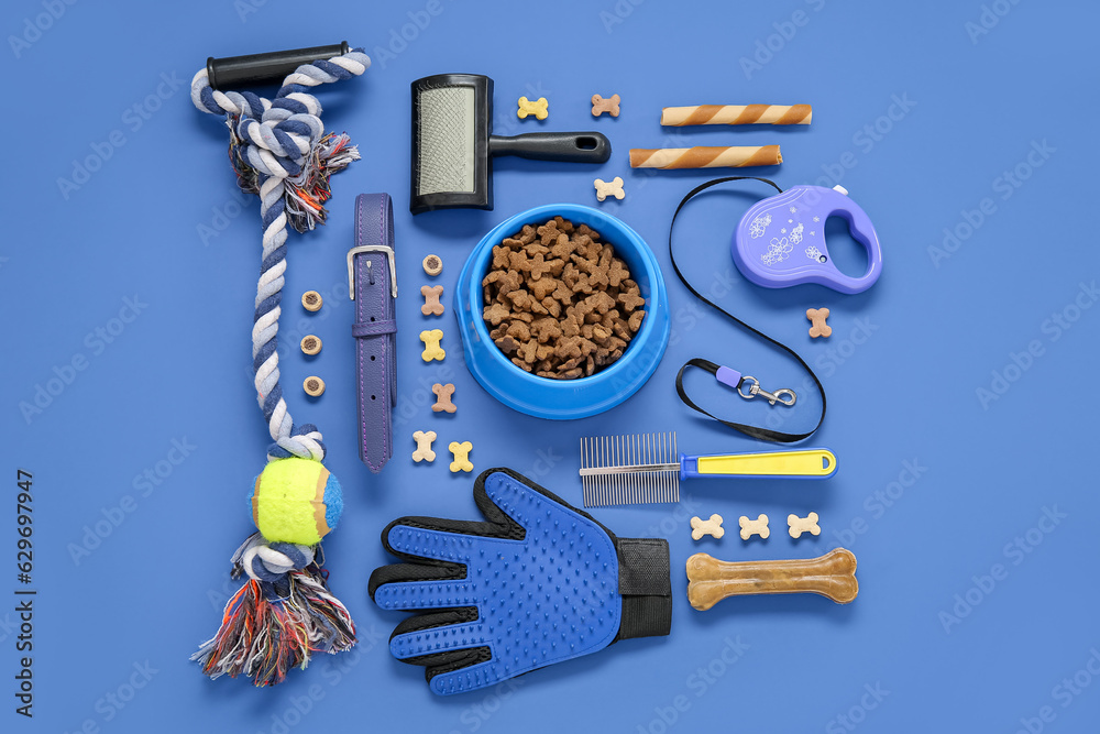 Composition with pet care accessories and dry food on blue background