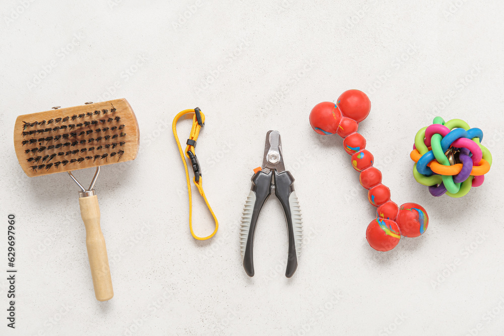 Set of pet care accessories with collar on light background