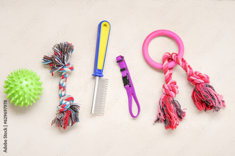 Set of pet care accessories with collar on light background