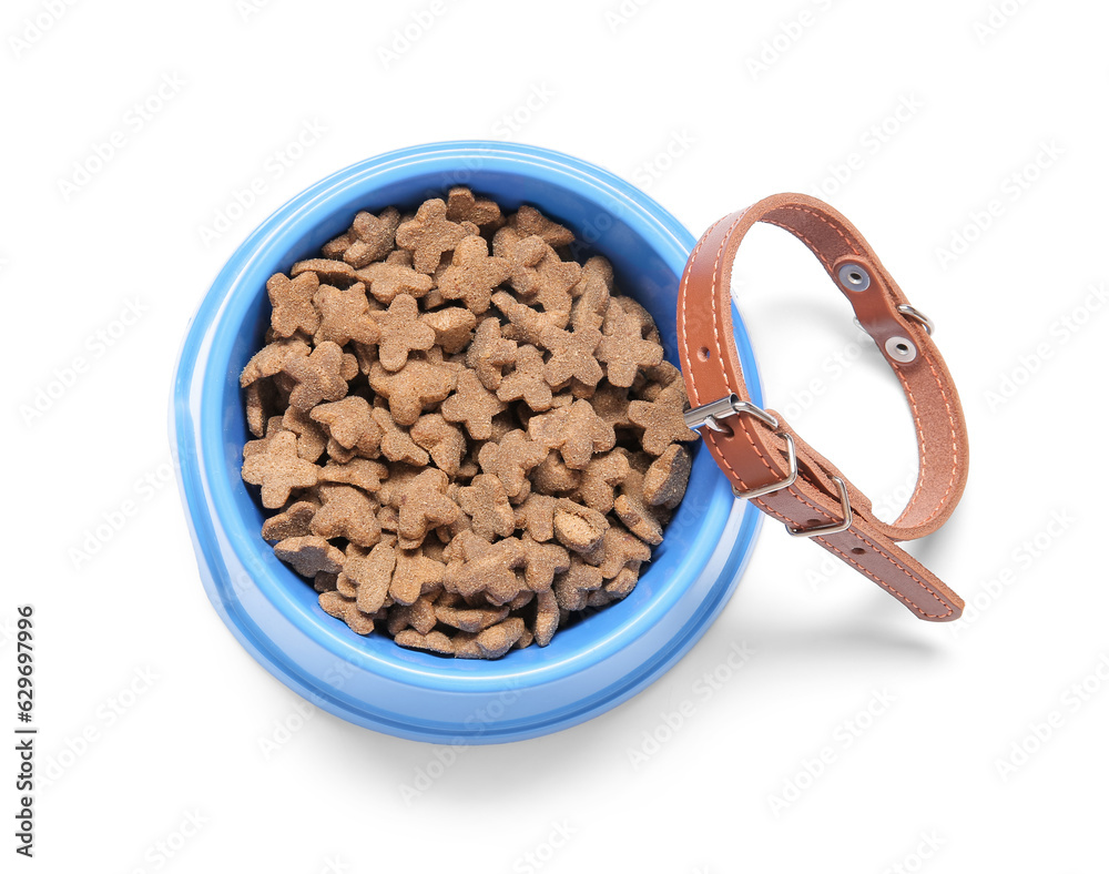 Bowl of dry pet food and collar on white background