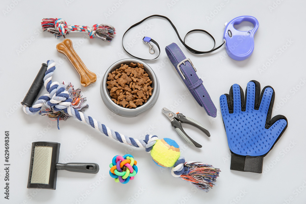 Composition with different pet care accessories and food on light background