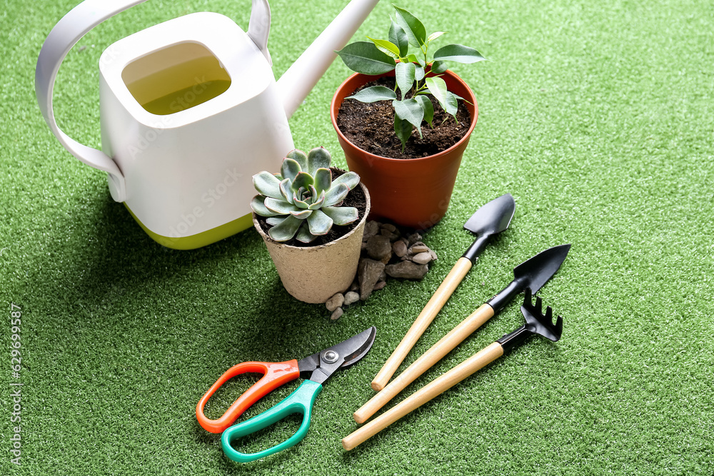 Set of gardening tools and plants on color background