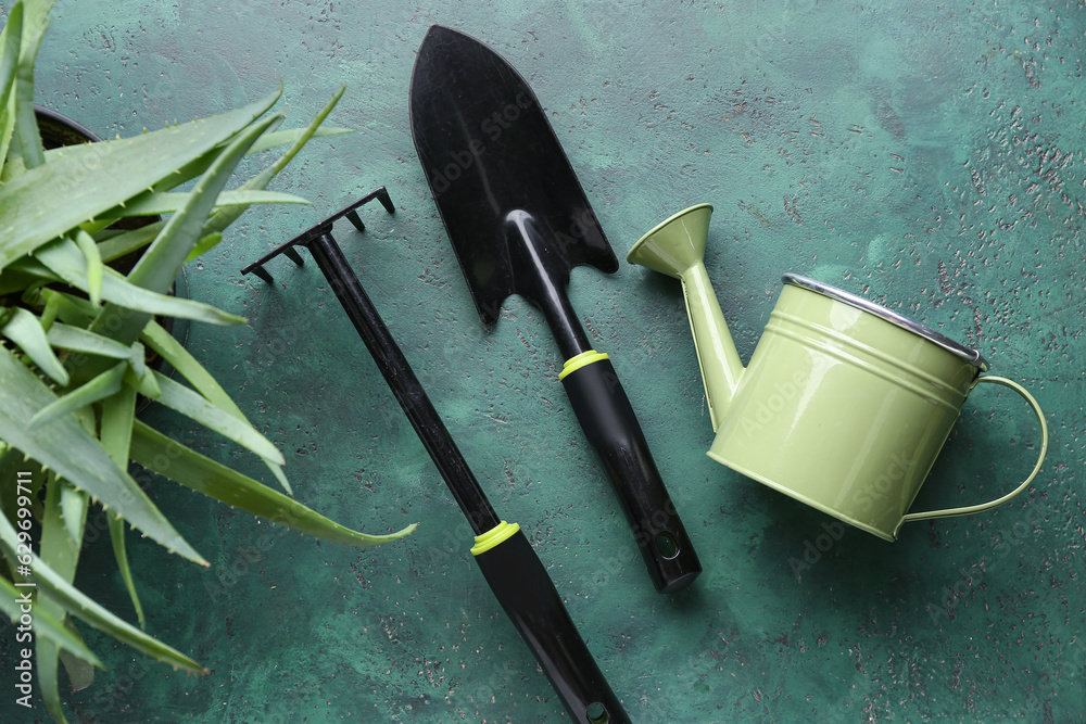 Set of gardening tools and plant on color background