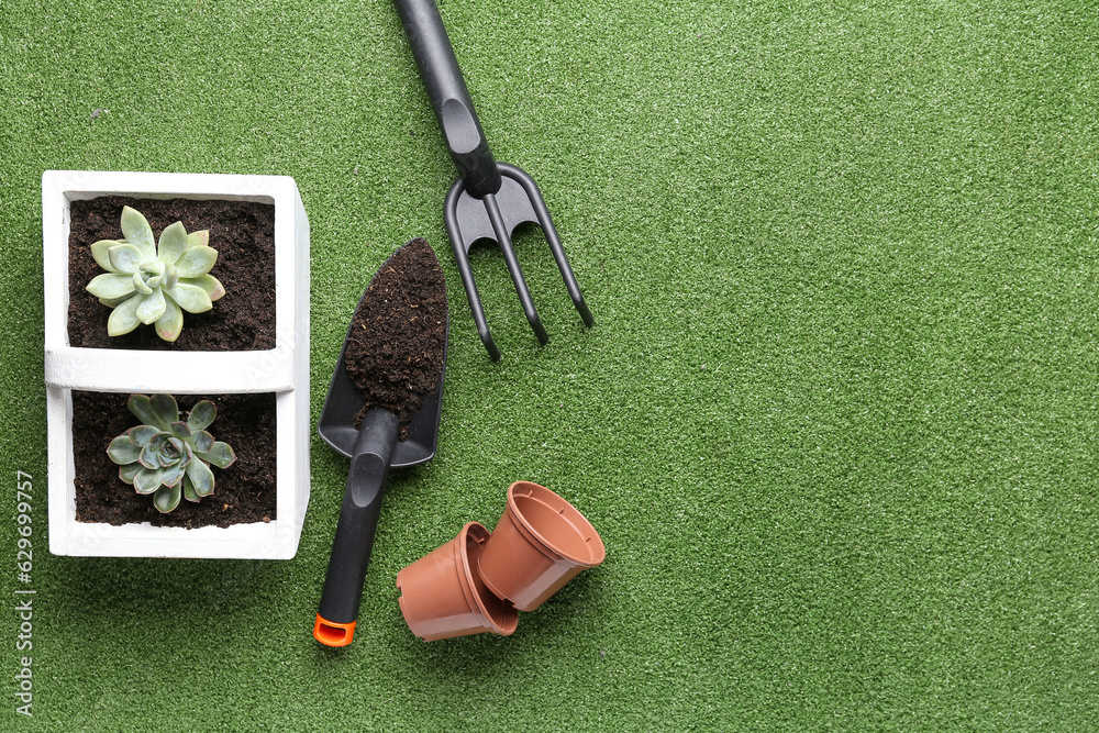 Gardening tools and succulents on color background