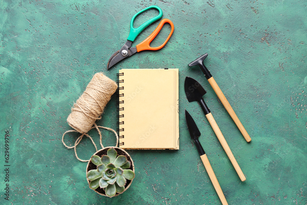 Set of gardening tools and succulent on color background