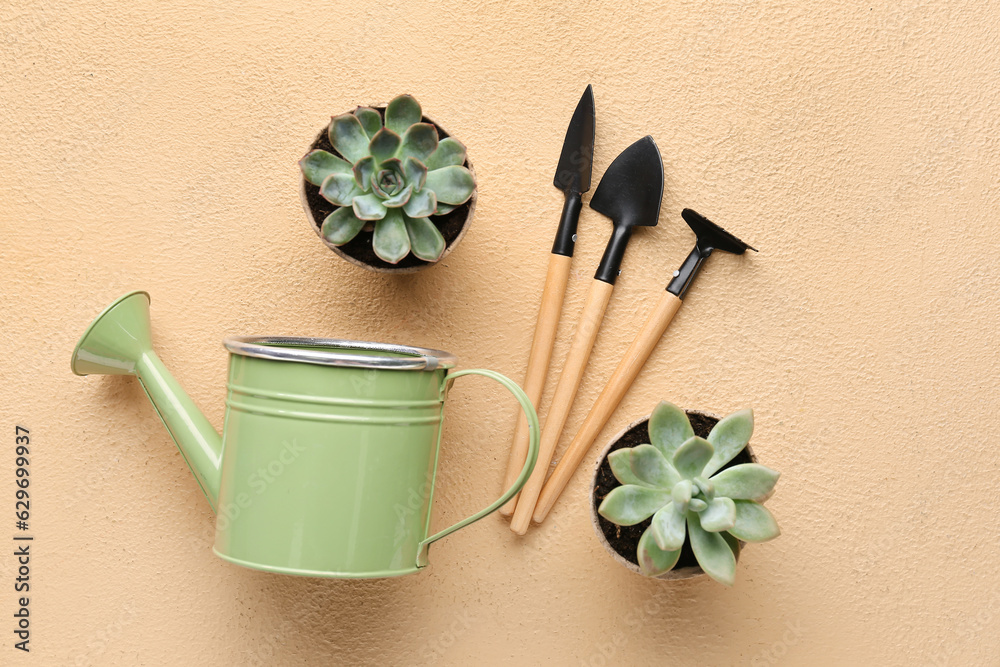 Composition with gardening tools and succulents on color background