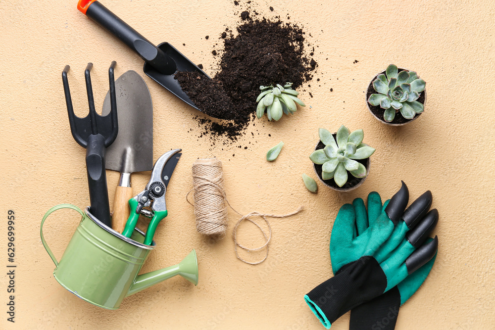 Composition with different gardening tools, soil and succulents on color background