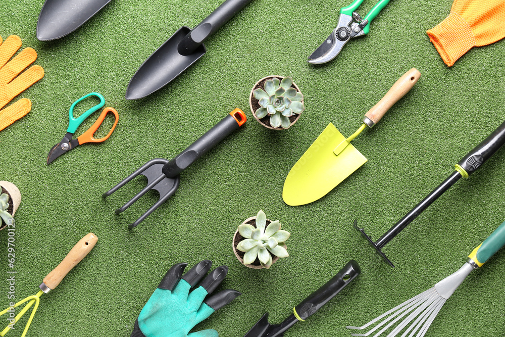 Composition with different gardening tools and plants on color background