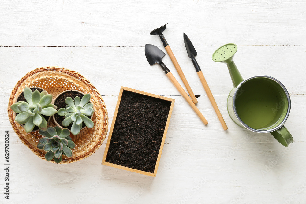 Composition with gardening tools and succulents on light wooden background