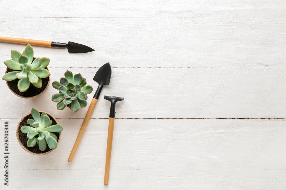 Composition with gardening tools and succulents on light wooden background