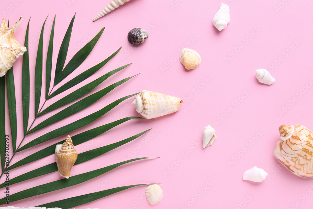 Composition with different seashells and palm leaf on pink background