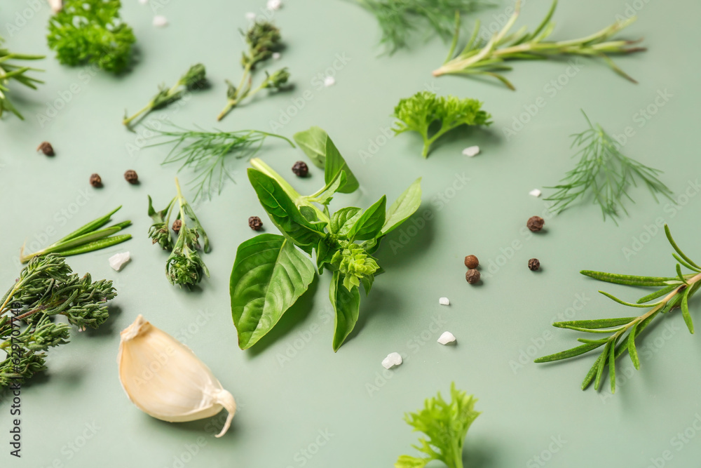 Composition with fresh herbs and spices on color background