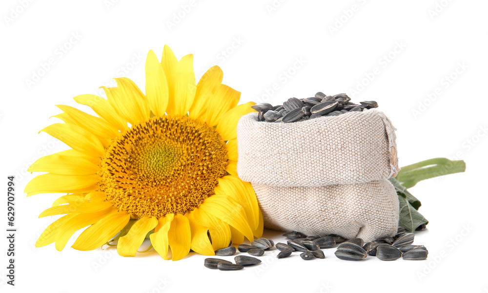 Beautiful sunflower and sack bag with seeds on white background