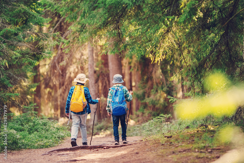 Two boys with backpacks hiking together in the wilderness forest.