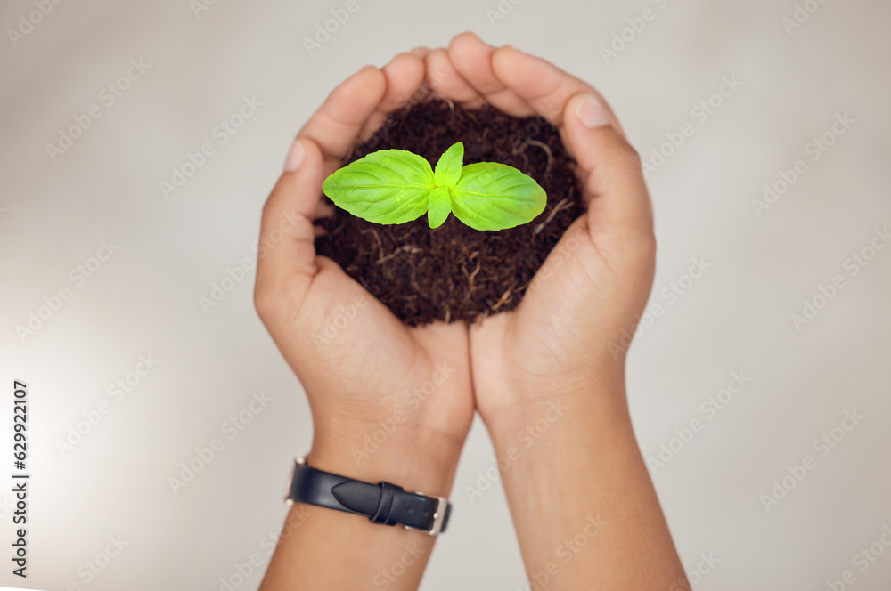 Soil, eco friendly and hands of person with plant for natural planting, agriculture harvest or ecosy