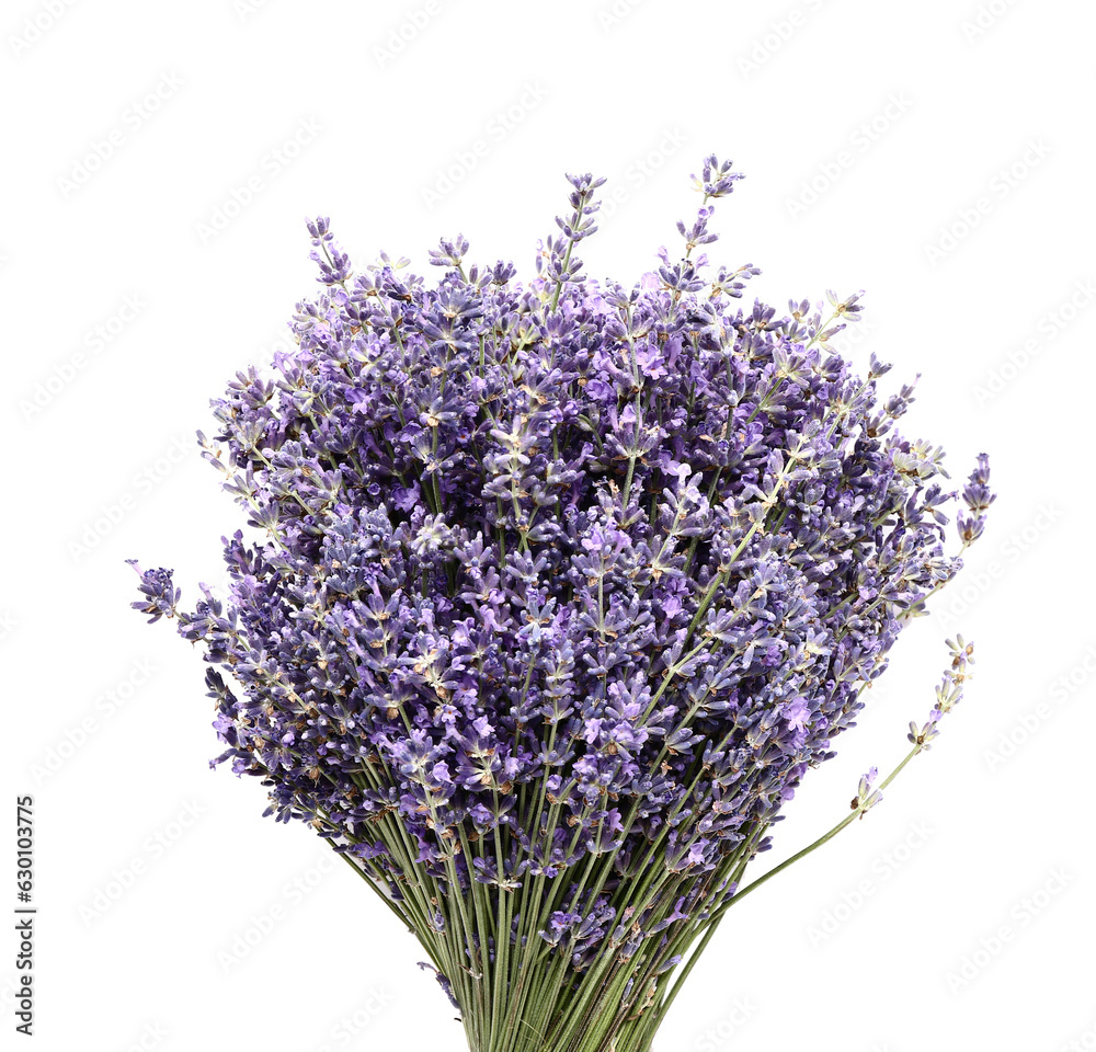 Bouquet of beautiful lavender flowers on white background