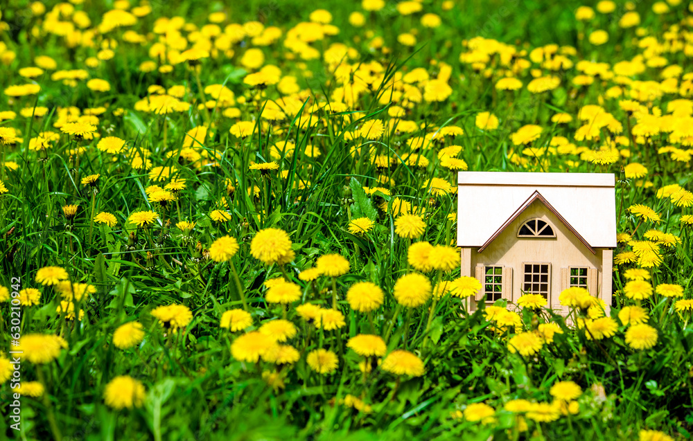 The symbol of the house stands among the yellow dandelions 