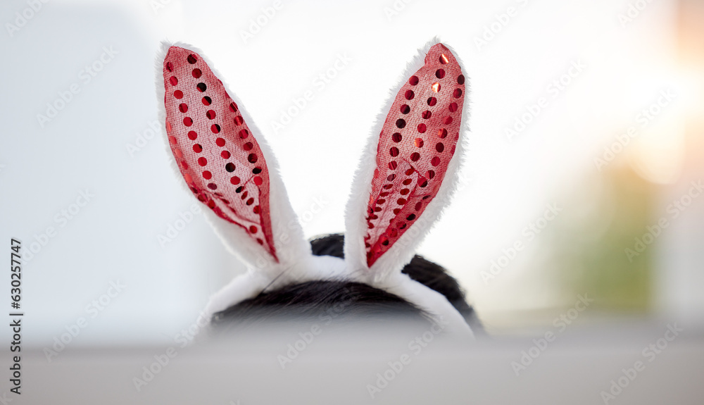 Easter bunny, ears and person at home with computer screen and silly hat for comedy. Celebration, ho