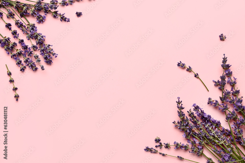 Branches of beautiful lavender flowers on pink background