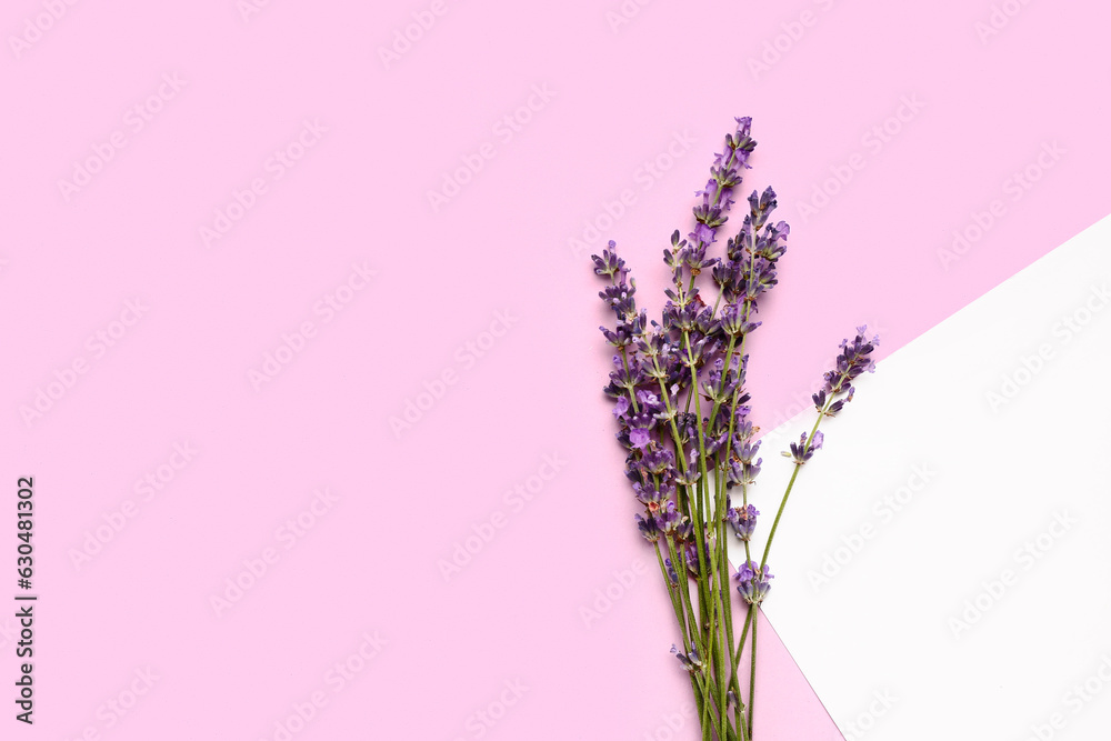 Branches of beautiful lavender flowers and paper sheet on pink background, closeup