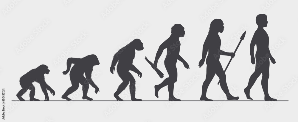 Evolution of man - Vector illustration of human evolving from primate to the modern man