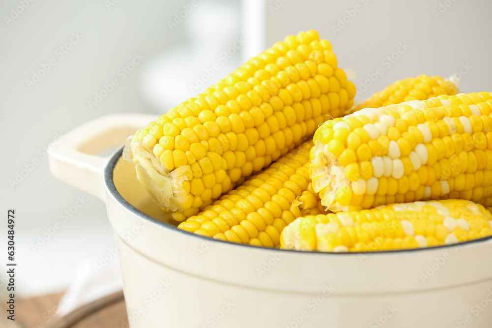 Cooking pot with boiled corn cobs on white background, closeup