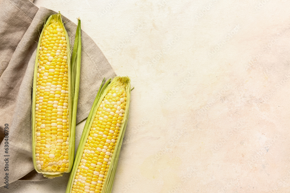 Fresh corn cobs on white background