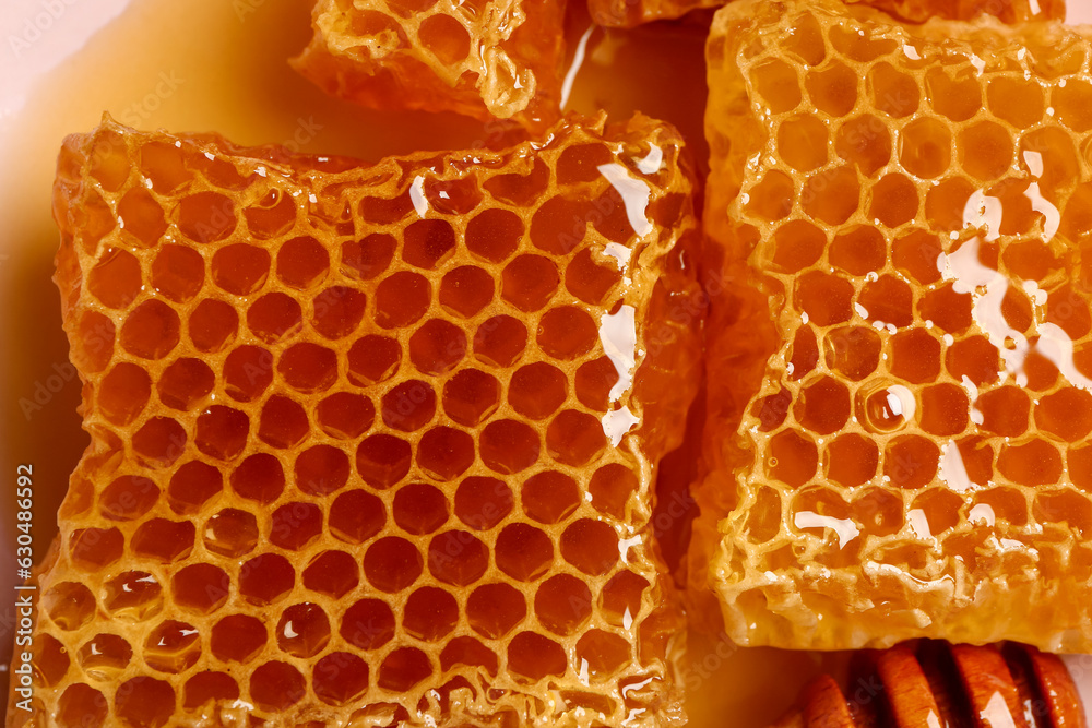 Texture of sweet honeycombs, closeup