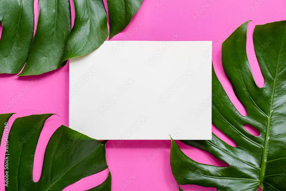 Blank card with tropical monstera leaves on pink background