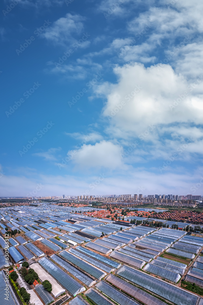 Shouguang Outdoor Vegetable Greenhouse panorama