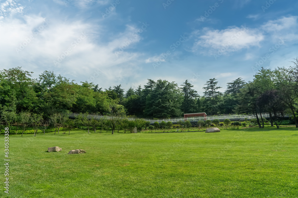 Outdoor Green Forest and Green Grass