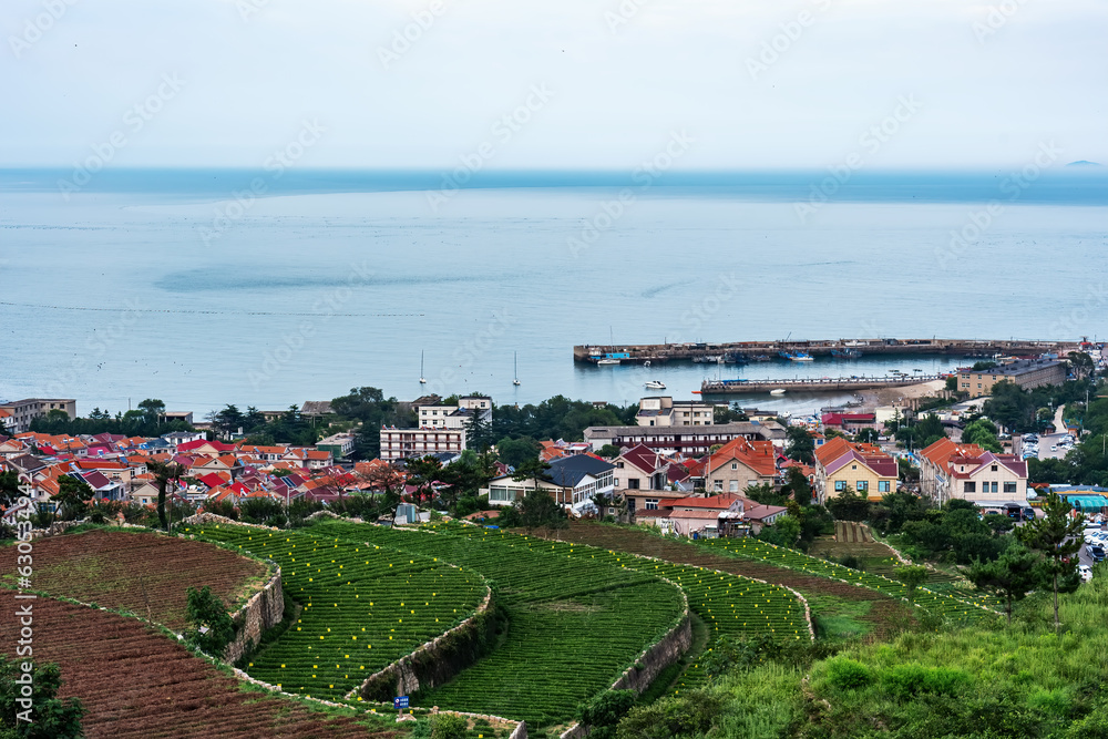 Aerospace Qingdao Coastline rural pastoral scenery