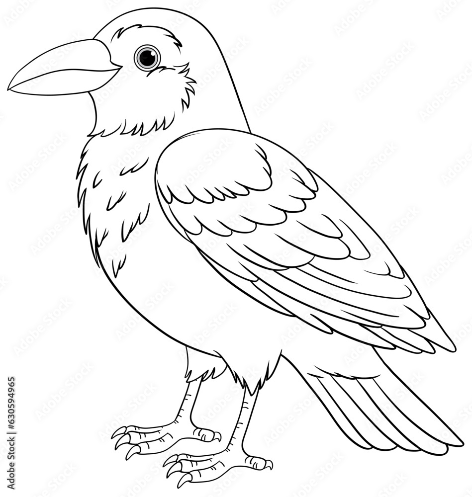 Cartoon Bird Outline Illustration