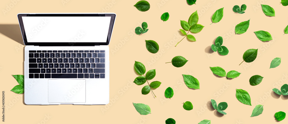 Laptop computer with green leaves - flat lay