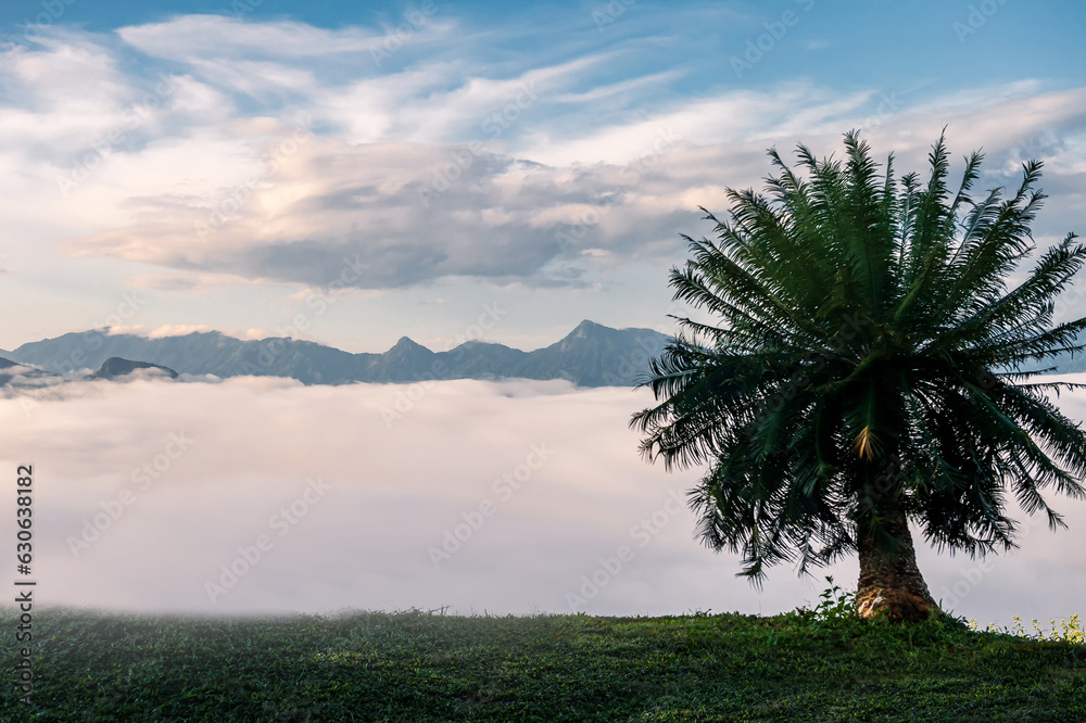 landscape and sky background