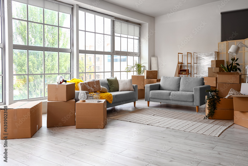 Sofas with cardboard boxes in living room on moving day