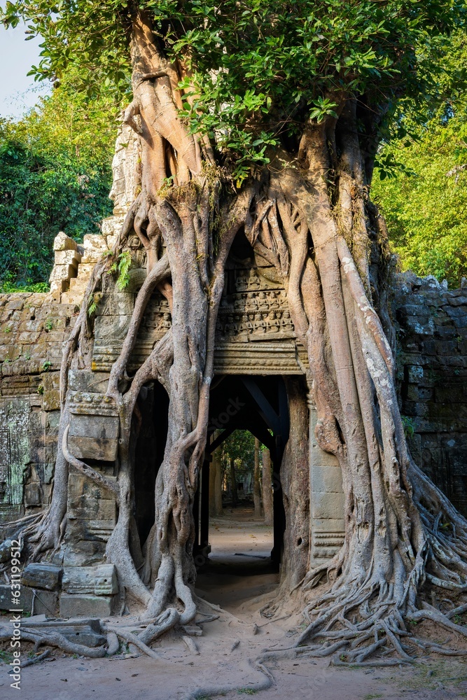 Vertical view of Ta Som temple, located in the world-famous Angkor Wat complex in Cambodia