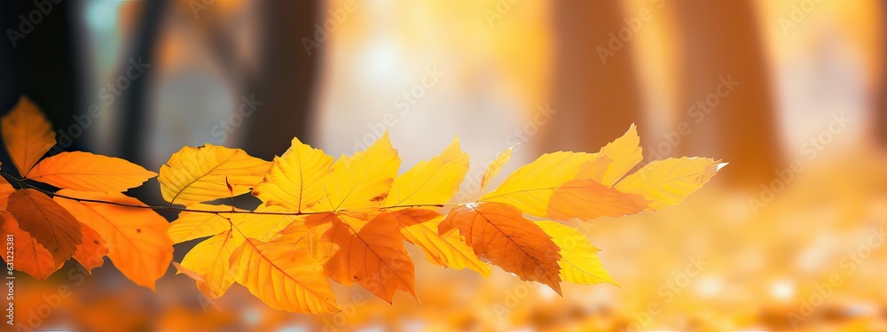 A bunch of beautiful yellow and orange leaves in an autumn park on a bright sunny day. Natural color