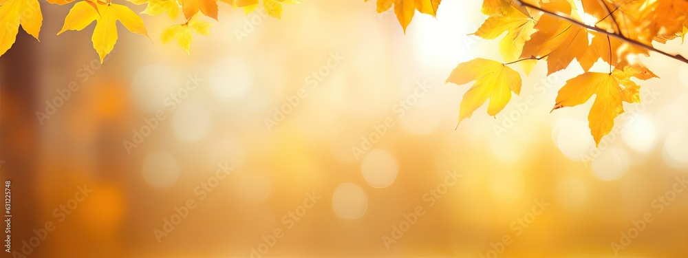 Beautiful blurred gentle universal natural light autumn background with yellow leaves and blurred bo