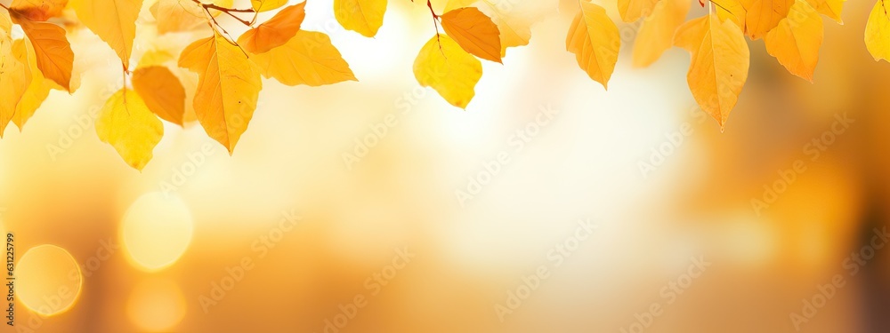 Beautiful blurred gentle universal natural light autumn background with yellow leaves and blurred bo