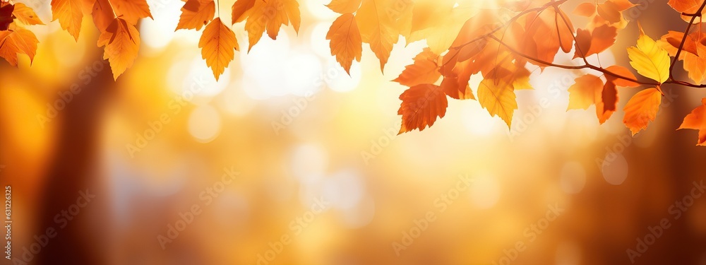 Beautiful orange and golden autumn leaves against a blurry park in sunlight with beautiful bokeh. Na