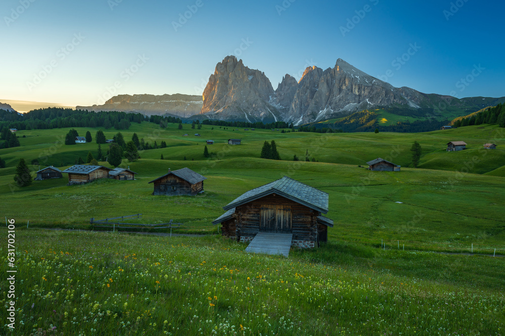 Seiser Alm (Alpe di Siusi) with Langkofel mountain at sunrise in summer, Italy