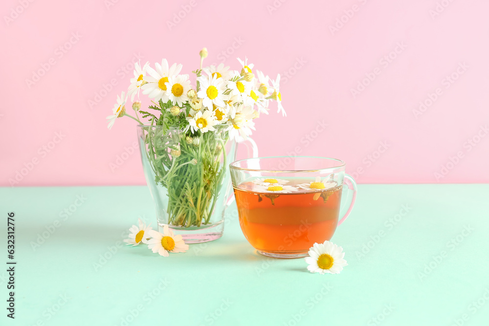 Cups of natural chamomile tea and flowers on turquoise table near pink wall